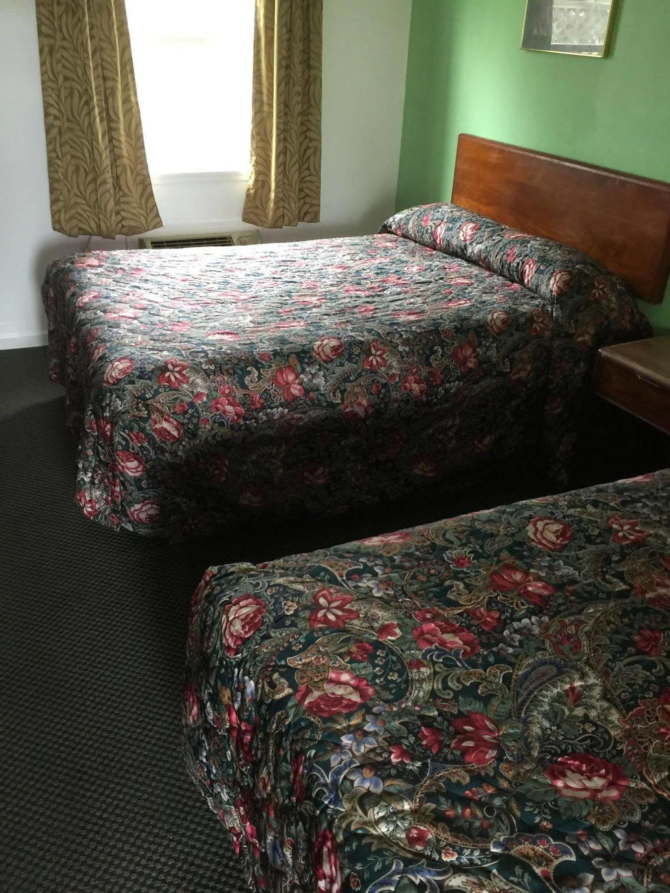 טרה הוט Woodridge Motel מראה חיצוני תמונה
